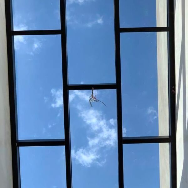 fixed skylight (22)