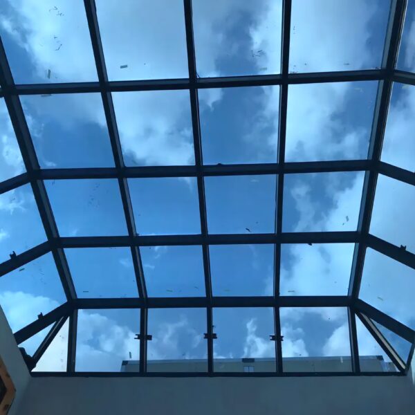 fixed skylight (83)